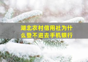 湖北农村信用社为什么登不进去手机银行