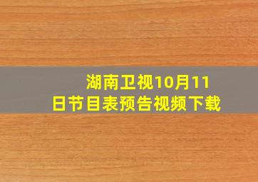 湖南卫视10月11日节目表预告视频下载