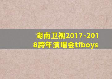 湖南卫视2017-2018跨年演唱会tfboys