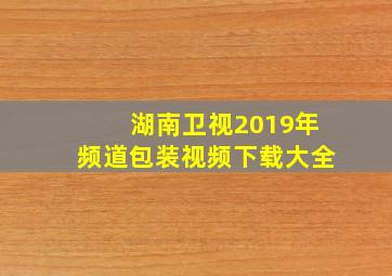 湖南卫视2019年频道包装视频下载大全