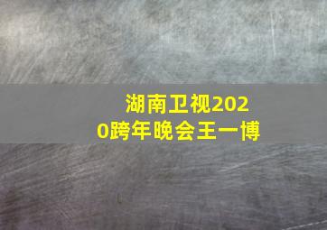 湖南卫视2020跨年晚会王一博