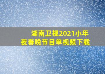 湖南卫视2021小年夜春晚节目单视频下载