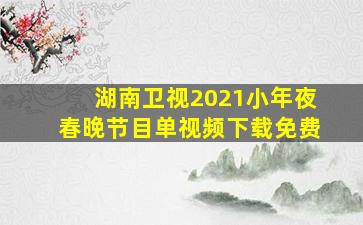 湖南卫视2021小年夜春晚节目单视频下载免费