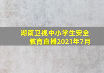 湖南卫视中小学生安全教育直播2021年7月