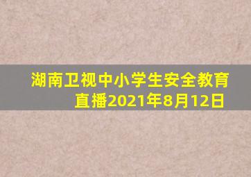 湖南卫视中小学生安全教育直播2021年8月12日