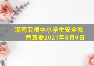 湖南卫视中小学生安全教育直播2021年8月9日