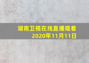 湖南卫视在线直播观看2020年11月11日