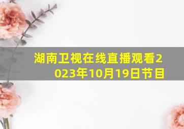 湖南卫视在线直播观看2023年10月19日节目