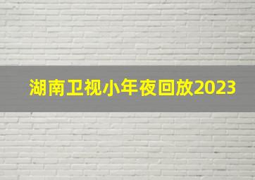 湖南卫视小年夜回放2023