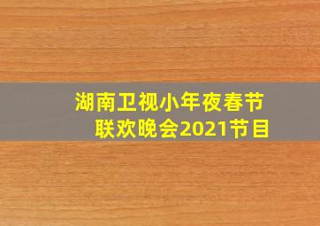 湖南卫视小年夜春节联欢晚会2021节目