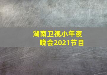 湖南卫视小年夜晚会2021节目