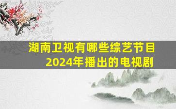 湖南卫视有哪些综艺节目2024年播出的电视剧