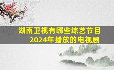 湖南卫视有哪些综艺节目2024年播放的电视剧