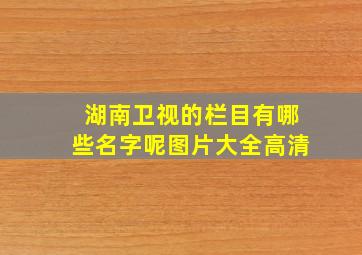 湖南卫视的栏目有哪些名字呢图片大全高清