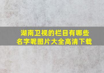 湖南卫视的栏目有哪些名字呢图片大全高清下载