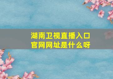 湖南卫视直播入口官网网址是什么呀