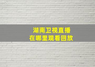 湖南卫视直播在哪里观看回放