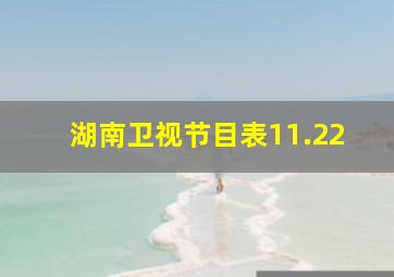 湖南卫视节目表11.22