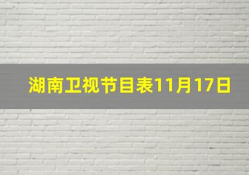 湖南卫视节目表11月17日