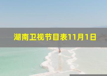 湖南卫视节目表11月1日