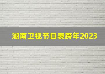 湖南卫视节目表跨年2023