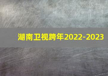 湖南卫视跨年2022-2023