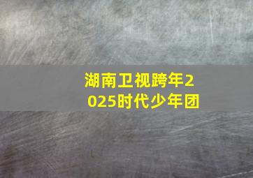 湖南卫视跨年2025时代少年团