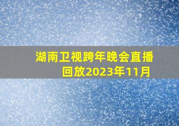 湖南卫视跨年晚会直播回放2023年11月