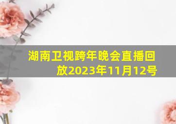 湖南卫视跨年晚会直播回放2023年11月12号