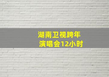 湖南卫视跨年演唱会12小时