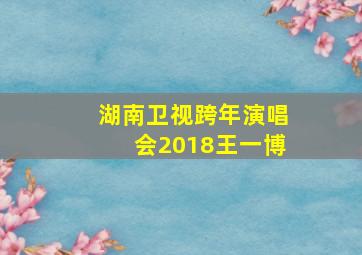 湖南卫视跨年演唱会2018王一博