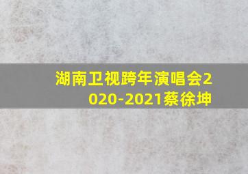 湖南卫视跨年演唱会2020-2021蔡徐坤