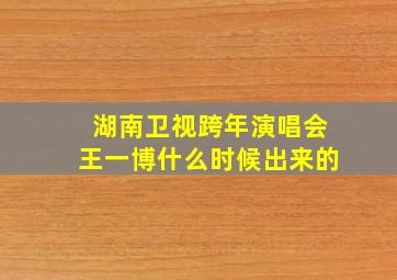 湖南卫视跨年演唱会王一博什么时候出来的