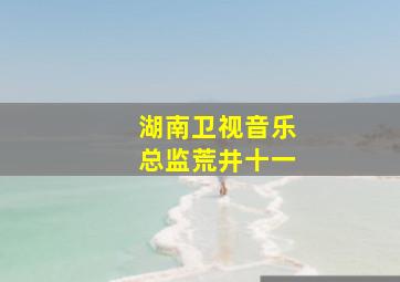 湖南卫视音乐总监荒井十一