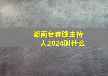 湖南台春晚主持人2024叫什么