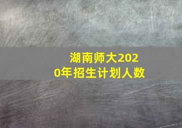 湖南师大2020年招生计划人数