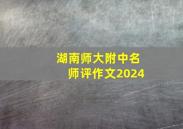 湖南师大附中名师评作文2024