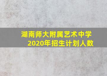 湖南师大附属艺术中学2020年招生计划人数