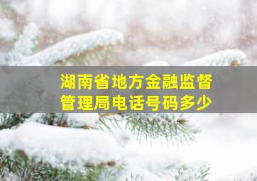 湖南省地方金融监督管理局电话号码多少