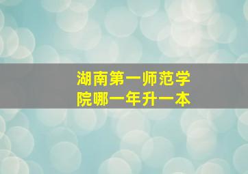 湖南第一师范学院哪一年升一本