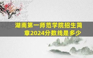 湖南第一师范学院招生简章2024分数线是多少