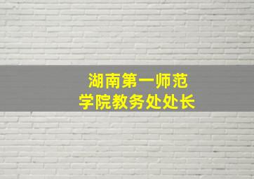 湖南第一师范学院教务处处长