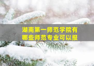 湖南第一师范学院有哪些师范专业可以报