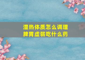 湿热体质怎么调理脾胃虚弱吃什么药