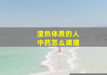 湿热体质的人中药怎么调理