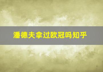 潘德夫拿过欧冠吗知乎