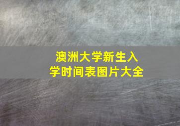 澳洲大学新生入学时间表图片大全