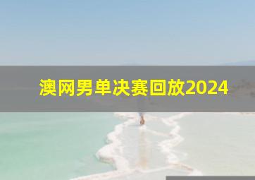 澳网男单决赛回放2024