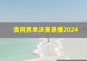 澳网男单决赛录播2024