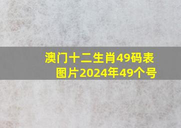 澳门十二生肖49码表图片2024年49个号